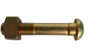 Cup Head Oval Neck Fish Bolt