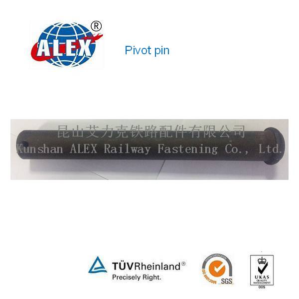 AISI C1060 Plain oiled Pivot pin